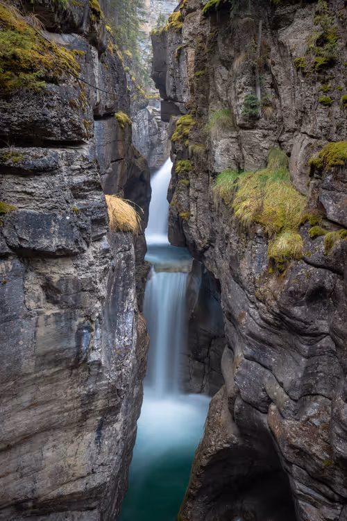 Item #11717075435639617062538583051799023982813876484308334407242089877785486032897 Media