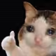 79210222440205545704802642366006415212384980476349644960300119468315089305601