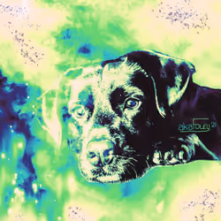 DigiDawg Closer To 420