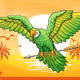 Ocean Parrot Arrow