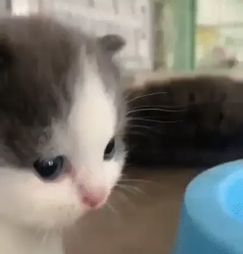 tzunami0x Collection