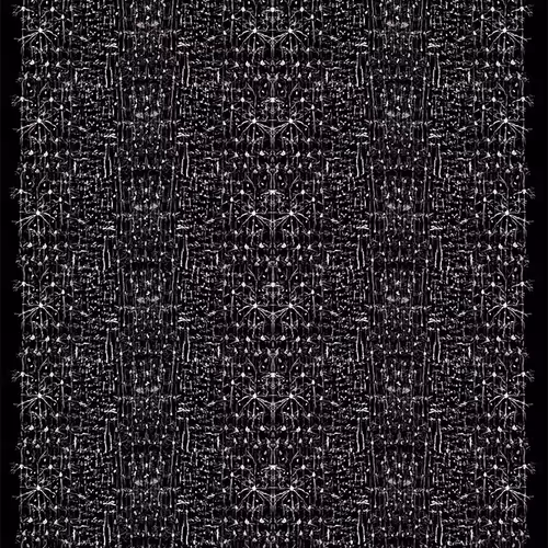 87855534987201374925371944818297600221317149567981150322417554444007768064001