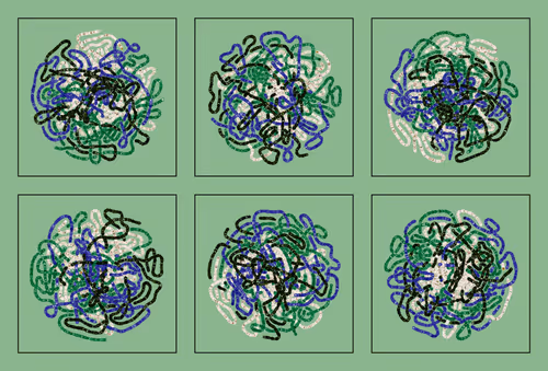 Item #107937117699900001194099939943306584939867407144504846123696048297088223543297 Media