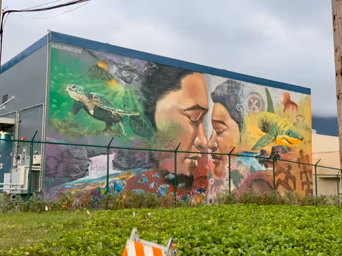 Item #25368776040682519390983776677225528740167958372111640572942765199707982528513 Media