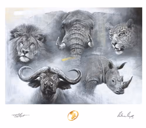 Item #98659679485147310438631373548143001120152503424997926615004853704772468867073 Media