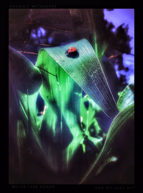 Item #3787080761074609709675817509753112159059746763483256848434353552298849861637 Media