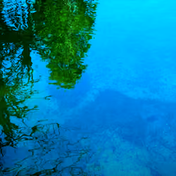 Painterly Reflections
