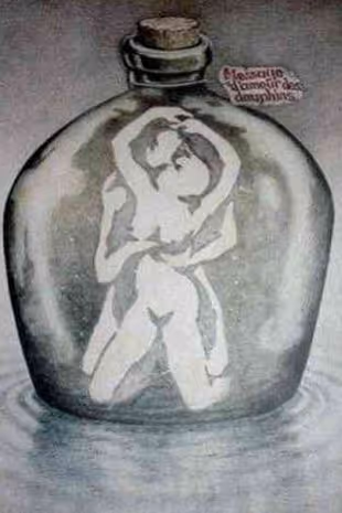 Untitled Collection #213183506