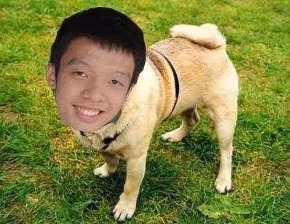 Weiwei2862 Collection