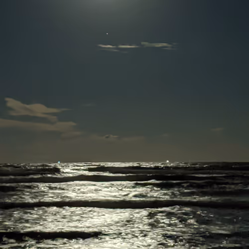 weconjure Collection