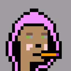 CryptoPunkHoodie #13
