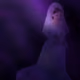 62957539822876587059650139081444984579389321593442355893644750182688644661253