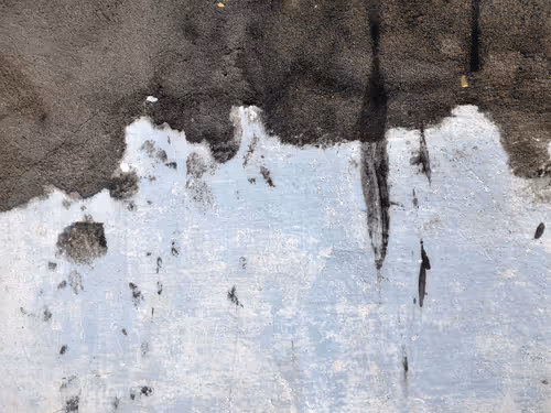 Item #77837778009088564188174628045169397065653229955612462896383264964828008022017 Media