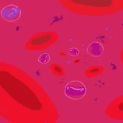 934703898012182659229280104058334114522443989908334841849410503986189959176