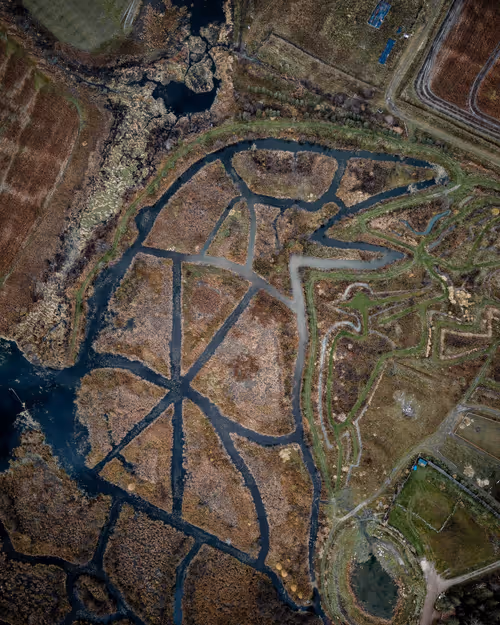 Item #100600280271040798317723628260513137156606623100883316454227272037506803040257 Media