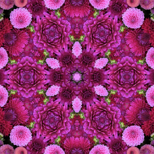 Item #68926149186134342892429898681651910528467495506184414078323304689448255488001 Media