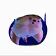 50766489763080525181845715058226248253779253643110156649971225574191319220225