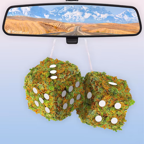 Item #276618171581163995688451181711762959038558310937804576463711797779082772481 Media