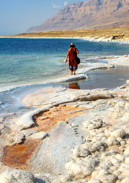 Item #95487849317578156668407947813270977219507958341613575813230836703043646390273 Media