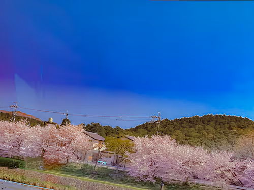 Item #26309083901545567454709889211670292098627789932924015051489478920692517830661 Media