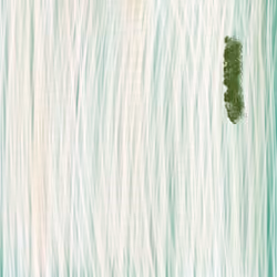 Indif011