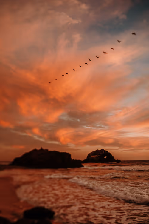 Item #73759399990209516888304032698275326364251253030870503334938121151522386477057 Media