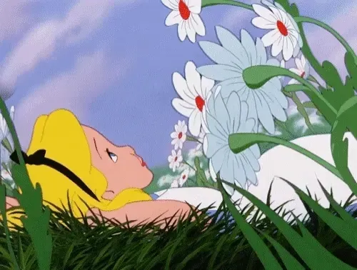 Alicein
