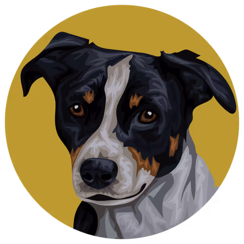 54766349128176429303044182404049584425310907481653304317570414001301076574209