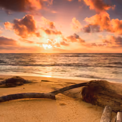 #8 Coconut Beach Sunrise
