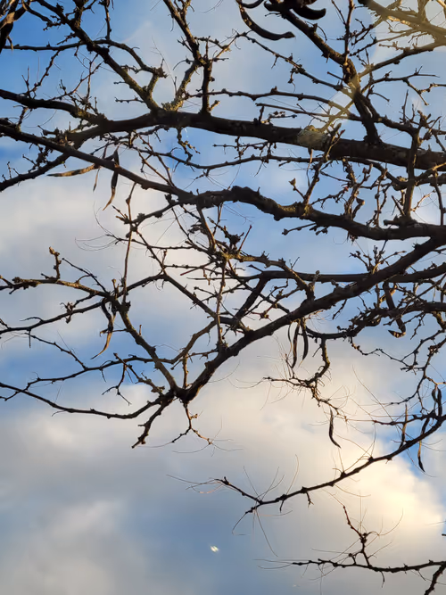 Item #61051240571971779841838649405693456424568018504308900476674196490442537697281 Media