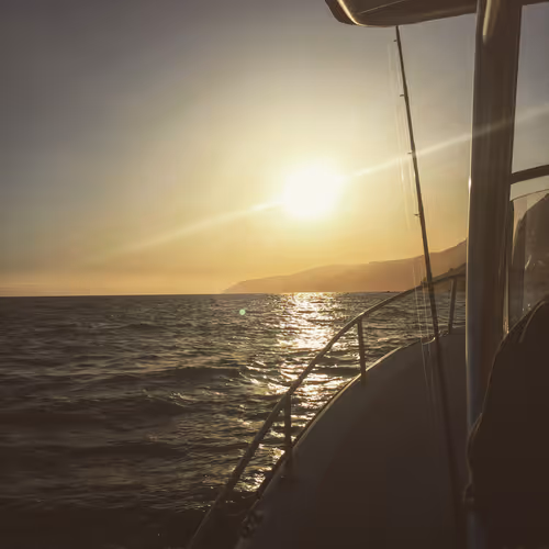 Item #70867767148206433816285647026950890777096964968120148821785755201420910395393 Media