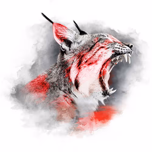 Item #59088353916634911645199901135540098457890710800918991321684793729414300958742 Media