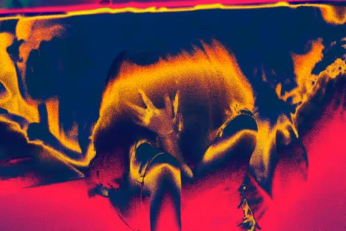 Item #66441873994140045921999615283650104973925355742064477402839904794012584771585 Media