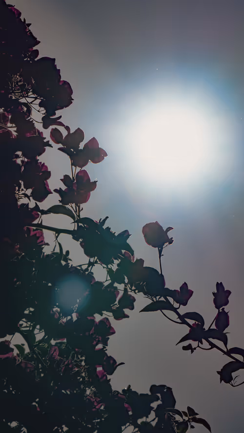 Item #61140817841535323188943582947873458398896939162862574355994582709541693030401 Media