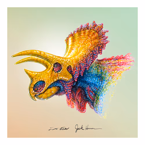 Item #22582927822880265950669941219355019494534003366966592492782895244570454392833 Media