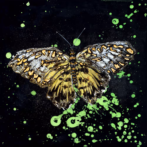 Item #31878015786887625449379653420806268900262982390960709769222713635499581374465 Media