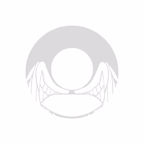 Item #53768869116464827098945469358750279685752103969068086833305390710255232483329 Media