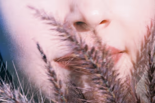 Item #49421393432894499121215694470303184244096795482679490930709574079358911381505 Media