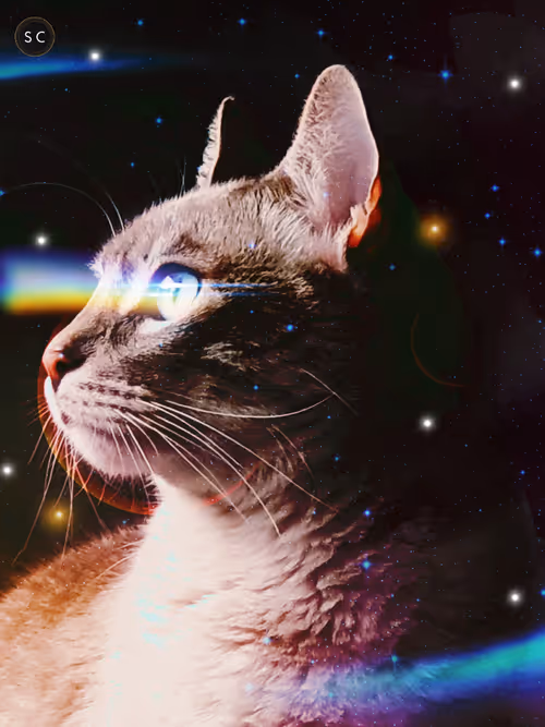 Item #56114814756646127397705002134489221206320113324181291230627375186515809271809 Media