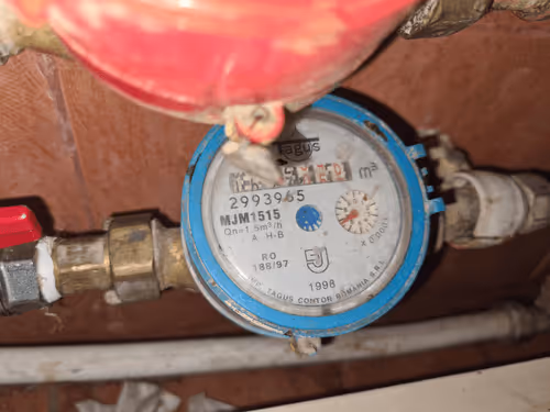 Untitled Collection #208266033