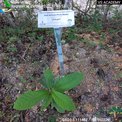 Item #8500196597889277390194123329501889087166328879864934763448348841308500000769 Media