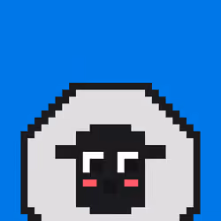 Blushy Sheep