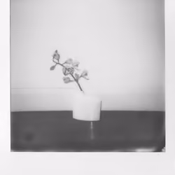 Fleur #6