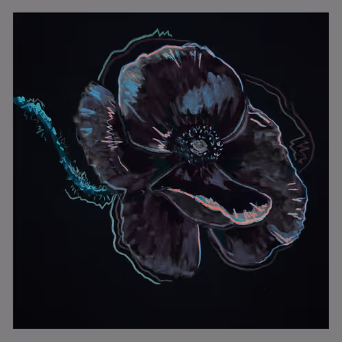 5779281467826994107992422148601232503379904017104496064971971791154497716225