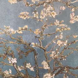 Almond Blossom - Van Gogh