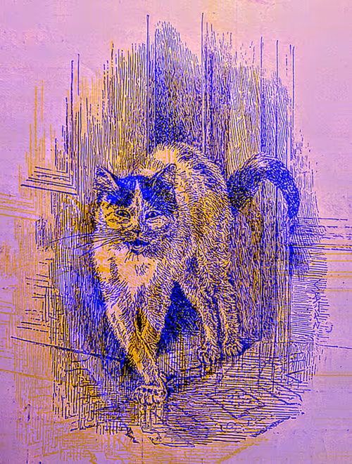 Item #35247308013863639916483757756408588227786114589757564733366544673794957508638 Media