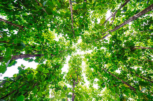 Item #104698403278380687011041837901215082247017048865897463251174603225895895302145 Media