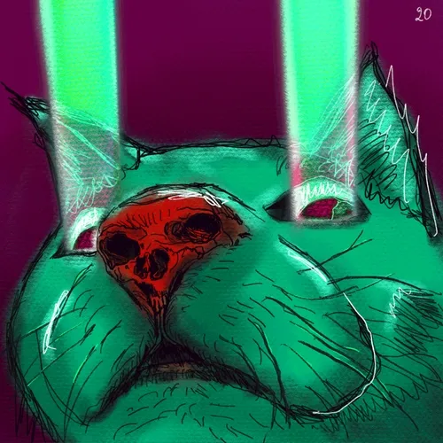 C∀T #020
