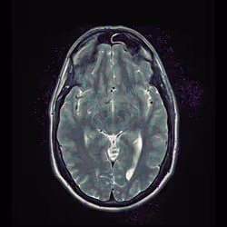 64162533542198579898252916190583583845604629893829087458582976410997040873473