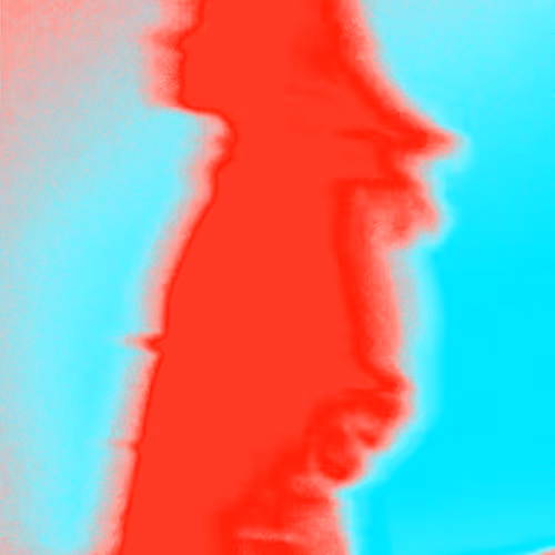 BobTheCrypto Collection